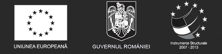 Uniunea Europeana, Guvernul Romaniei