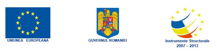 Uniunea Europeana, Guvernul Romaniei
